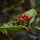 물향기공원 이미지