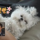 산다한의원 이미지