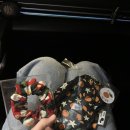 산호동463 이미지