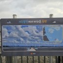 은하코퍼레이션