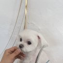 그루밍솔루션 구로점 이미지