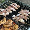 자연누리펜션 네이버블로그