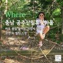 에코채널