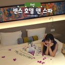 호텔센스 | 발리 우붓 호텔, 센스 호텔 앤 스파 추천 후기