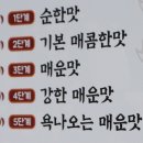 속초상회 이미지