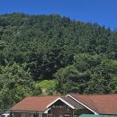 상관편백숲 쉼터 이미지