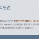 나비한의원 이미지