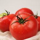 찬이농장 이미지