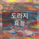 건강과아름다움 이미지