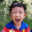 작은나무숲 이미지