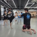 강일체육관 네이버블로그