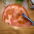 별빛포차 | [서울시 은평구]포차 맛집 별빛포차 다녀온 솔직 후기(메뉴,가격,주차)