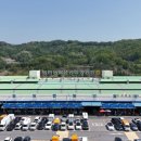 공판장유통 이미지