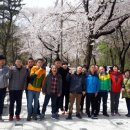 민들레여행 에너지플랫폼뉴스