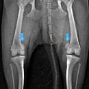 서진 동물병원 이미지