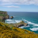 제이엠몰 이미지