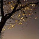 A song of  이미지