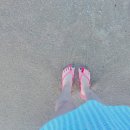 로제스 풀빌라A 이미지