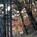 청암교 옆 이미지