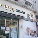토론토 동물병원 이미지