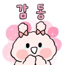정왕요양보호사교육원 이미지