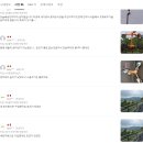 비둘기밧데리 | 태양광 비둘기 조류 퇴치기, 까치/까마귀 퇴치기 경보기 사용 후기