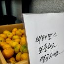 비타민독서실 이미지