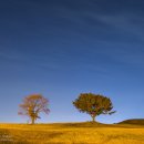 함안 말이산고분군 이미지