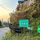 포레스트구봉 이미지