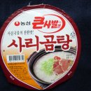 사리
