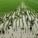 과거,현재,미래 이미지