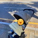 [내돈내산] 줄즈 에어플러스 세이지그린 구매후기