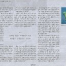 유주필라테스 Daum카페