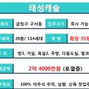 태성아파트 앞 이미지