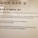 보길윤선도원림 이미지