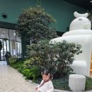 봄, 여름 살롱 | 동탄 아기 미용실 19개월 단발컷 살롱드마샬 타임테라스점 예린점장님 후기 내돈내산