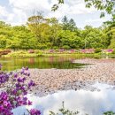 느린하루 이미지