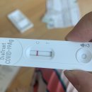 보건소(19번방) | 36주-37주 만삭 임산부 코로나 확진 일기 (1) - 코로나확진과정 및 재택치료, 격리, 남편 확진