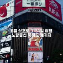 (주)두리안서비스 | 6월 삿포로 여행 / 노랑풍선 북해도 3박4일 패키지 3일차 후기