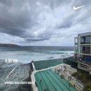 (주)와이피하우스앤비치클럽 | [신혼여행 #9] 호주 시드니 여행 / 쿠지비치~본다이비치 코스탈워크 / 왓슨스베이 / 페리 타기 / 시드니...