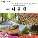 하늘정원유치원 | 천안 아산 피나클랜드 수목원 입장료 5월 튤립 개화 불꽃축제 추천