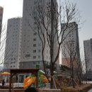 제일아파트 이미지