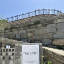 호텔 다올(Daor) | 대가족 가능한 뷰맛집 강화도 초초초 신상 풀빌라 [다올 스테이]