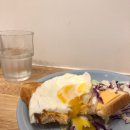 제주도 레인보우 이미지