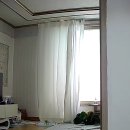 블랙위도우펫