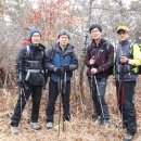 현촌2로 이미지