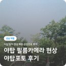야탑포토 | 야탑역 필름카메라 현상 - 야탑포토 후기
