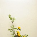 동양꽃꽂이 이미지