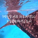 범성슈퍼 | 세부 오슬롭고래상어&amp;캐녀닝 와그 트리쉐이드 당일투어(투어업체,가격,상세일정)+페소환전꿀팁