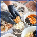 털보애견 이미지